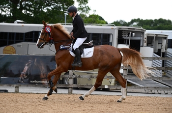 Two More Combinations Gain Qualification to the Prestige Italia Six-Year-Old Championship Final Two More Combinations Gain Qualification to the Prestige Italia Six-Year-Old Championship Final